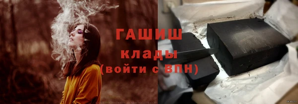 шишки Дмитриев