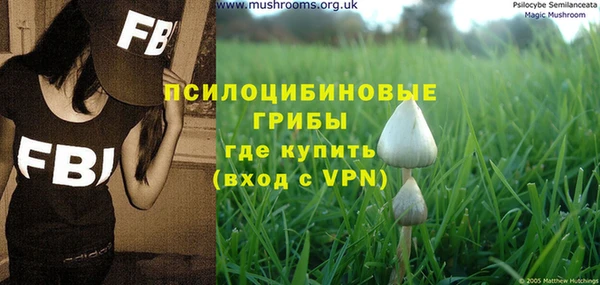 спайс Баксан