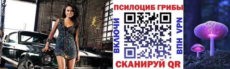 Псилоцибиновые грибы Cubensis  купить   Черемхово 